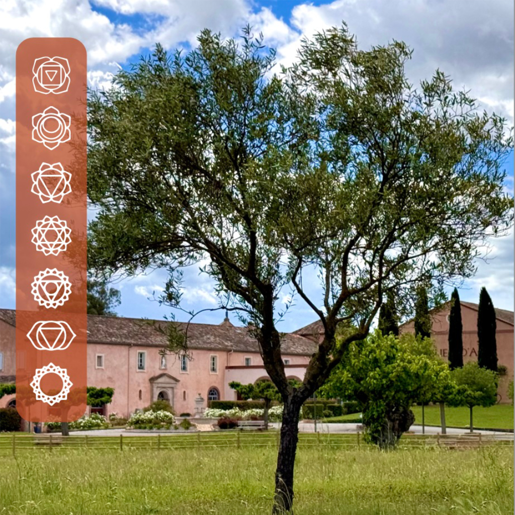Atelier “Séance de sophrologie” – dimanche 14 juin au salon “Les Journées d’Harmonie Féminine” au Château Saint-Julien d’Aille à Vidauban.